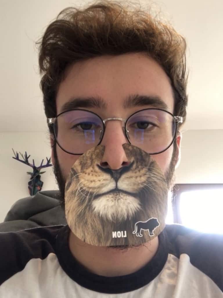 Communauté Quiz My Face Lion